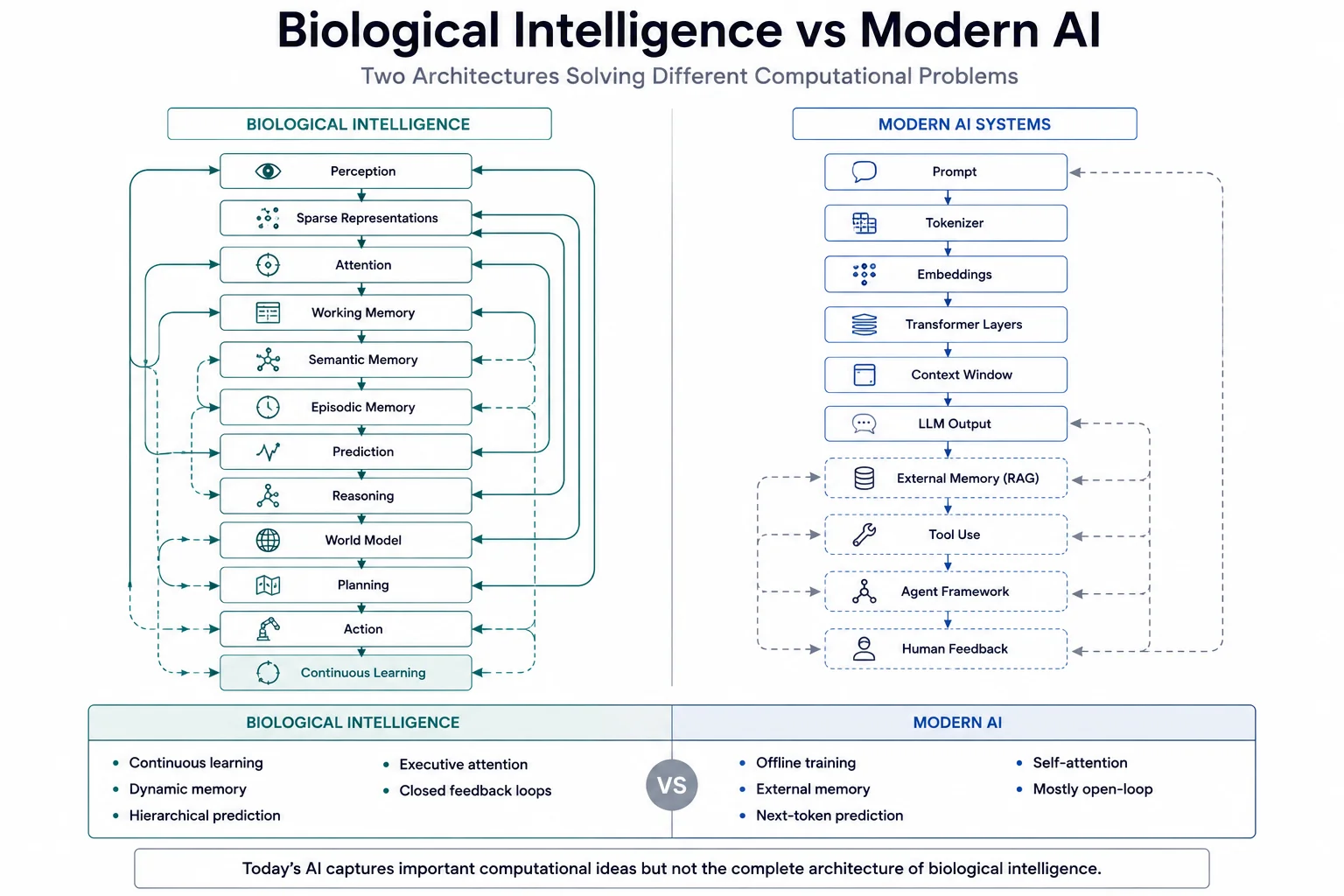 Side-by-side comparison of Biological Intelligence versus Modern AI Systems, showing the full biological pipeline from sparse representations through episodic and semantic memory to continuous learning, contrasted with the AI pipeline of tokenizer, transformer layers, context window, RAG, tool use, and human feedback