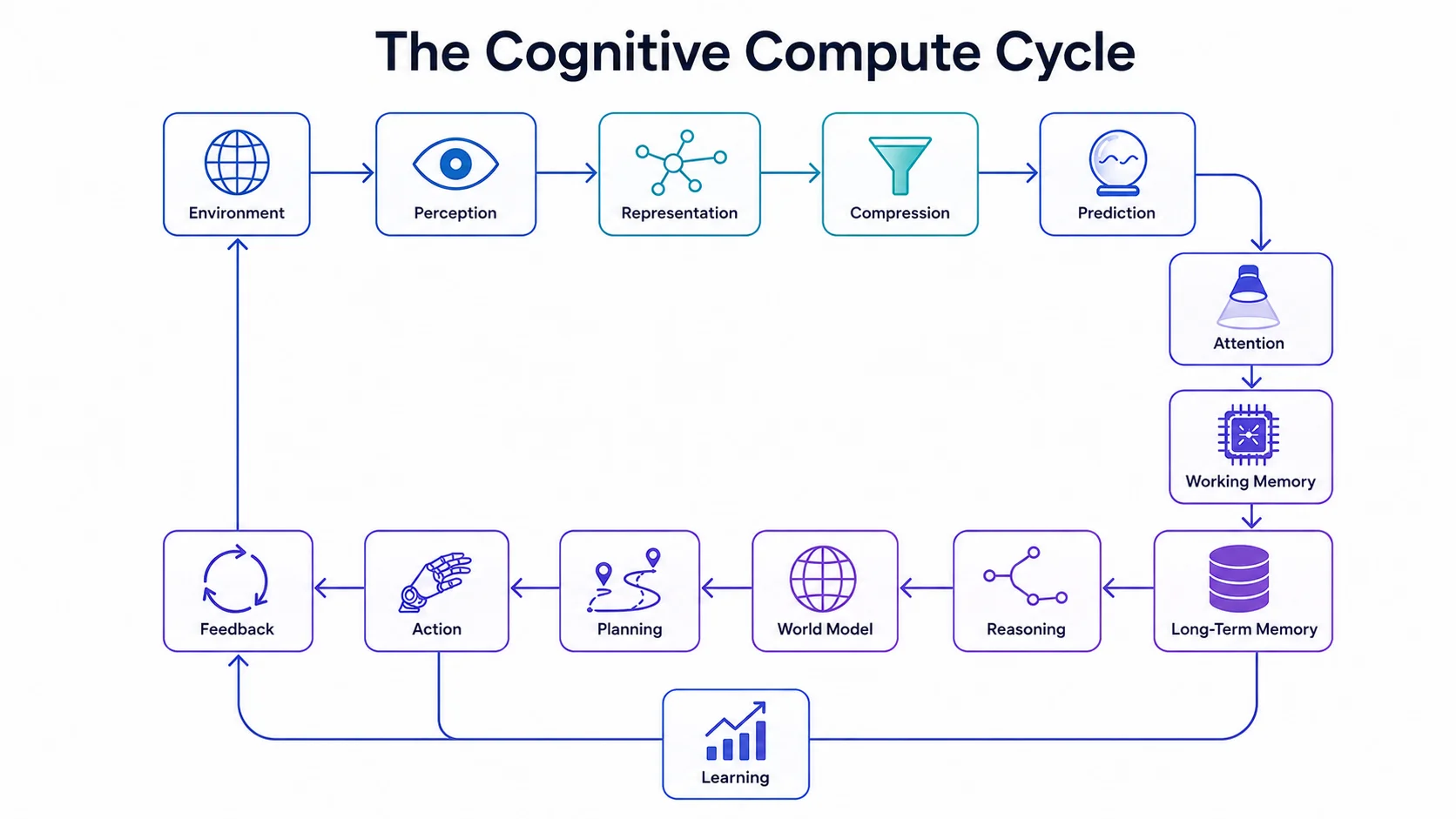 The Cognitive Compute Cycle: a flowchart showing the full biological intelligence pipeline from Environment through Perception, Representation, Compression, Prediction, Attention, Working Memory, Long-Term Memory, Learning, Reasoning, World Model, Planning, Action, and Feedback looping back to Environment