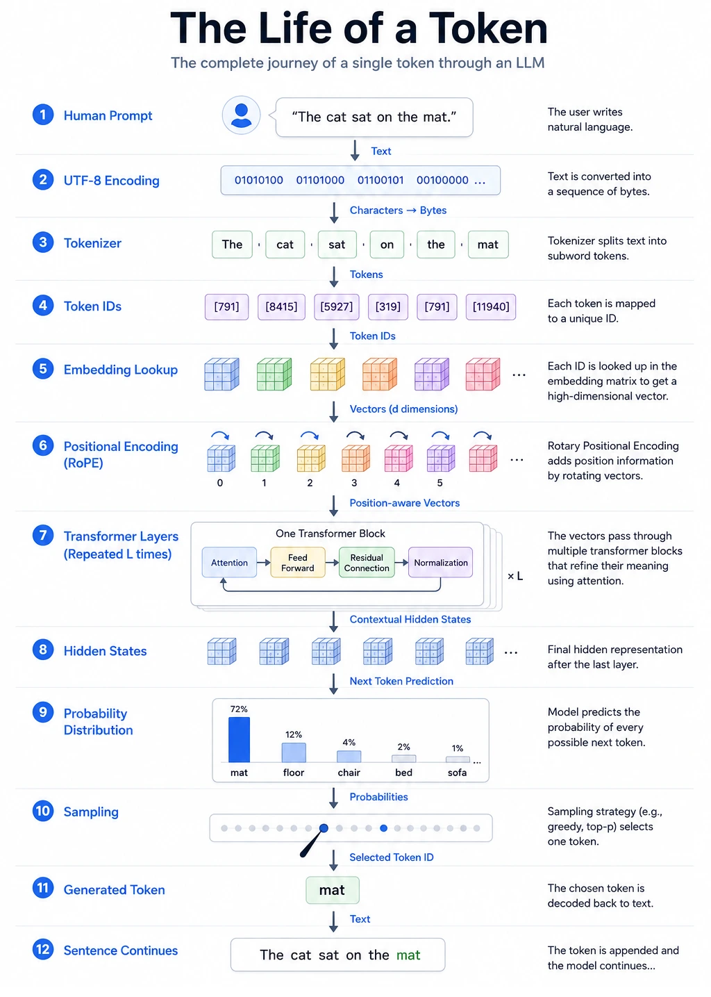 The Life of a Token: a 12-step diagram showing the complete journey of a single token through an LLM, from human prompt through UTF-8 encoding, tokenizer, token IDs, embedding lookup, positional encoding (RoPE), transformer layers, hidden states, probability distribution, sampling, generated token, and the sentence continuing