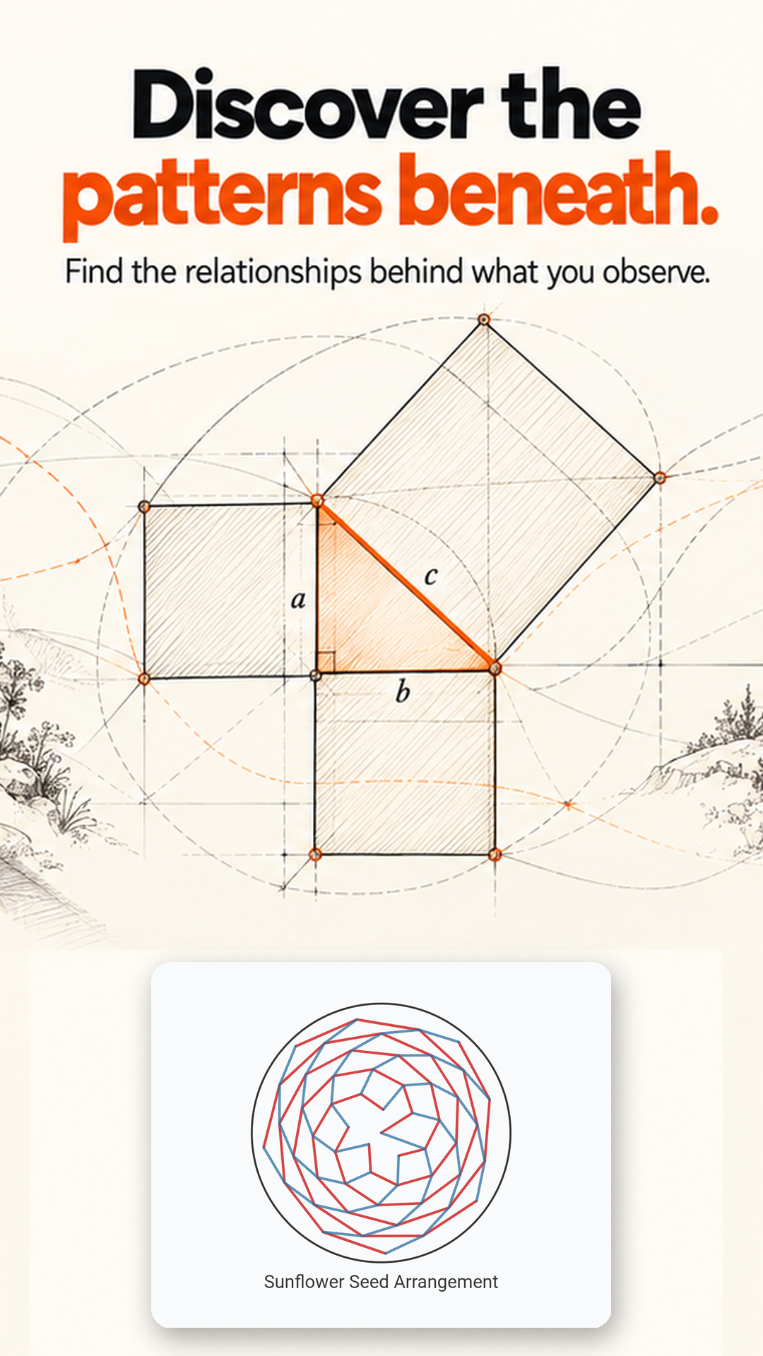 PathStem topic visualization of a sunflower seed arrangement