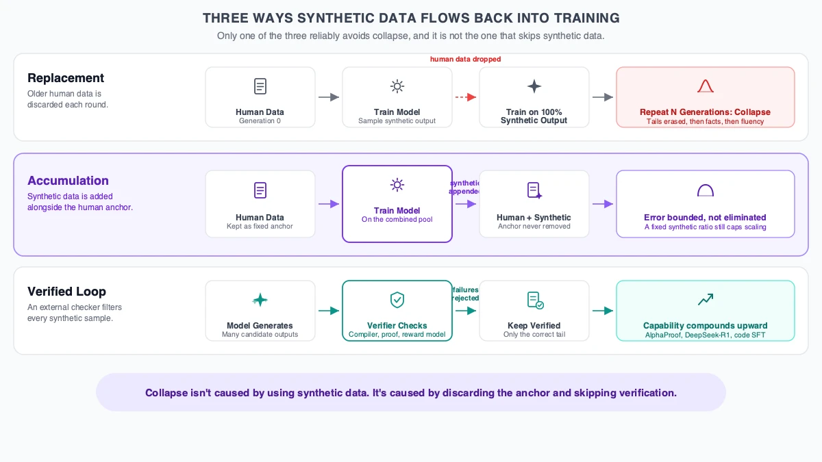 Diagram comparing three ways synthetic data flows back into AI training: Replacement, where human data is discarded each generation and the model collapses; Accumulation, where synthetic data is added alongside a retained human anchor and error stays bounded; and a Verified Loop, where an external checker such as a compiler or reward model filters synthetic samples before training, letting capability compound upward