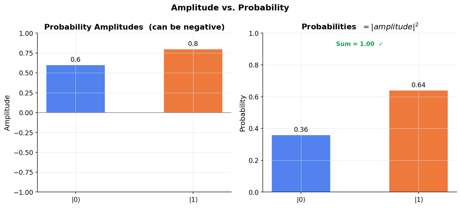Amplitude vs. Probability: A Side-by-Side View