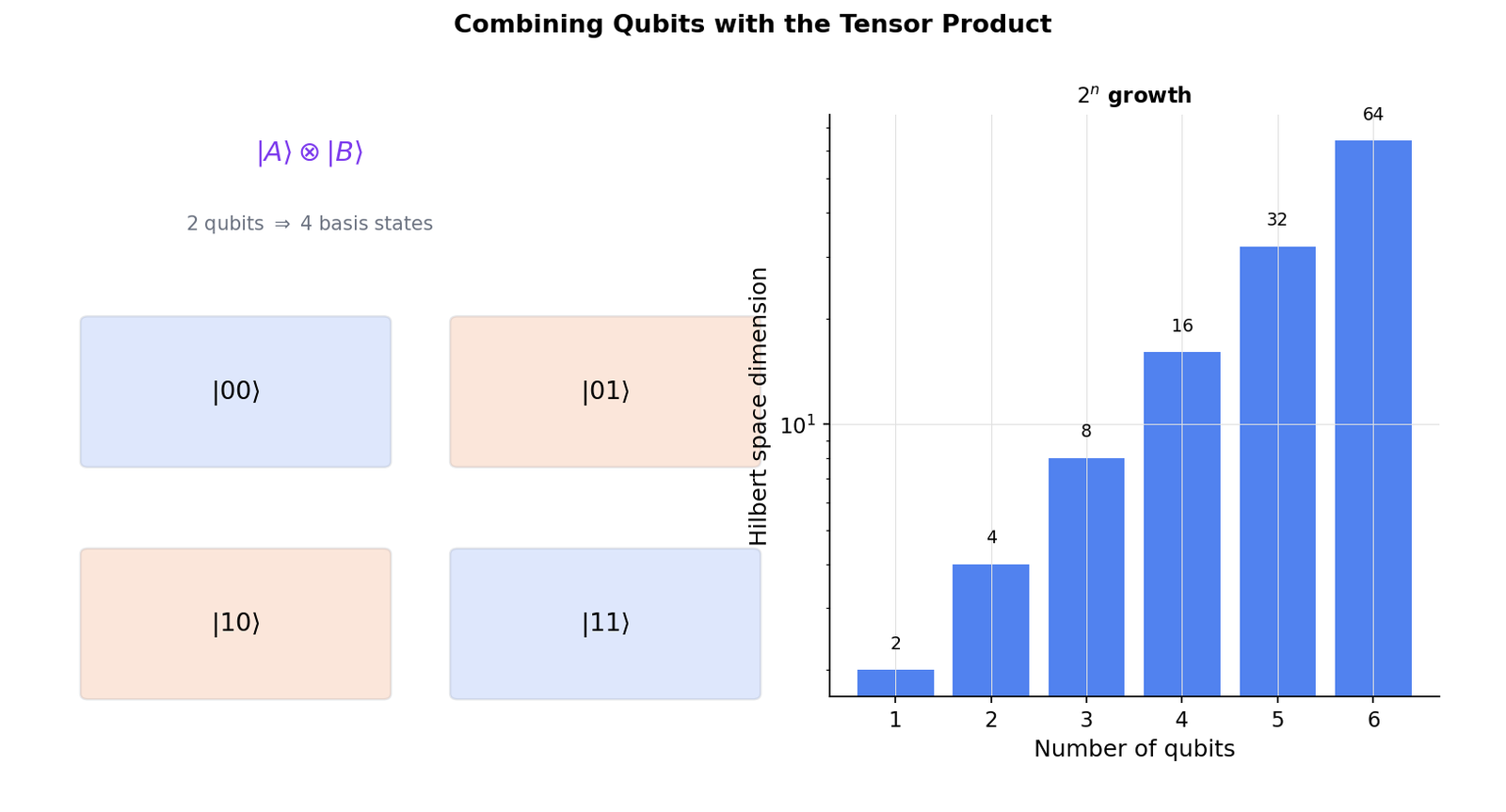 Combining Qubits with the Tensor Product