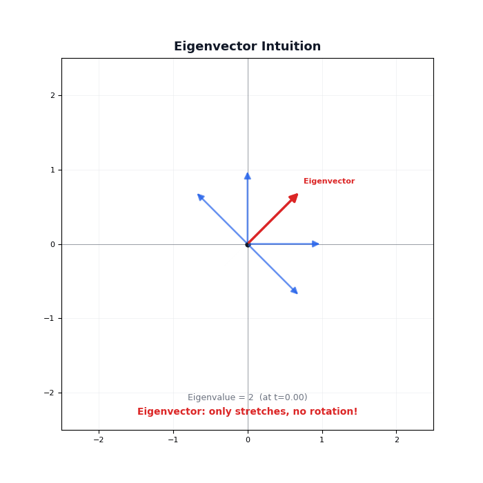Eigenvector: The Un-Rotated Vector