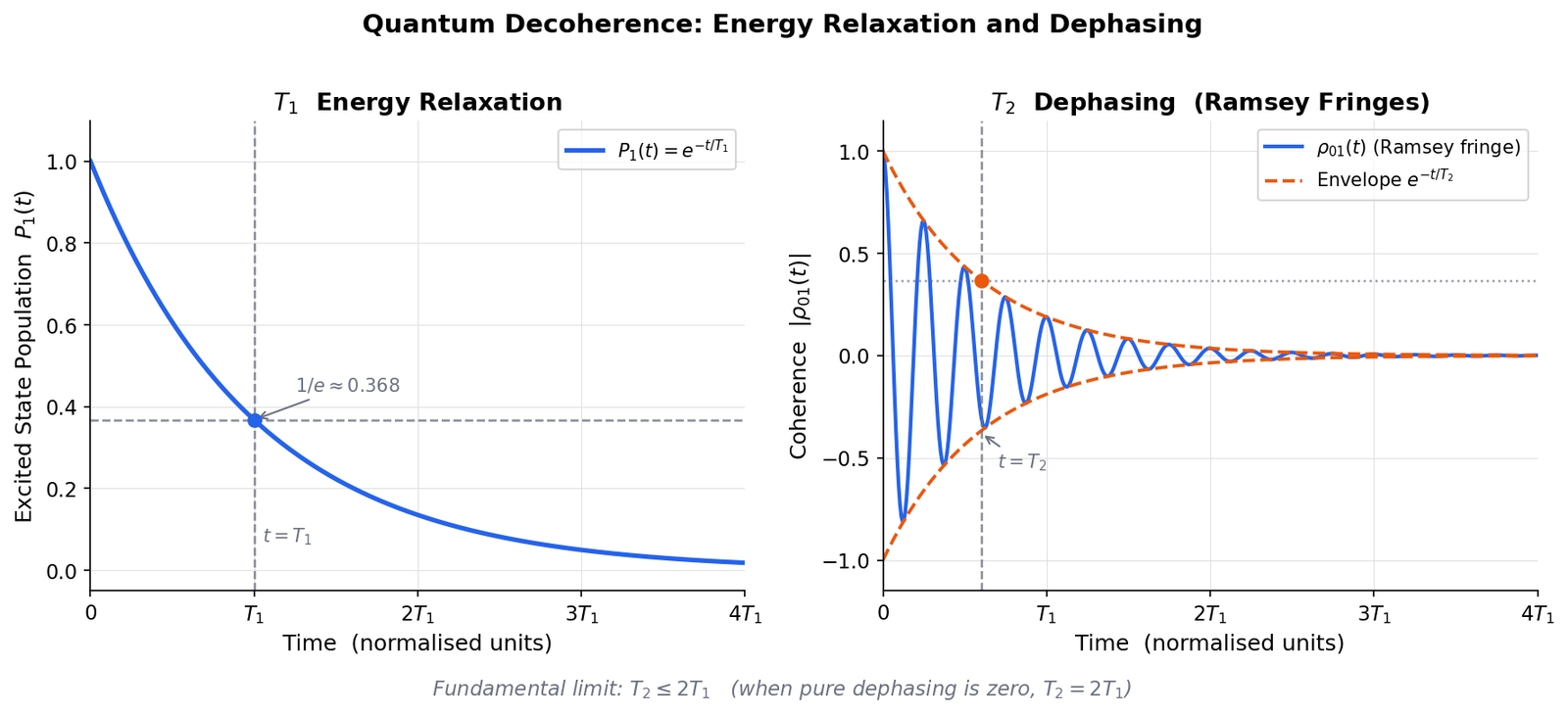 T1 and T2 Decay Curves