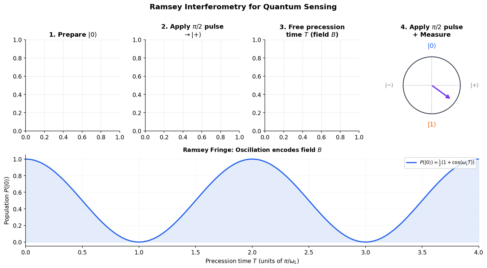 Ramsey Interferometry Protocol for Quantum Sensing